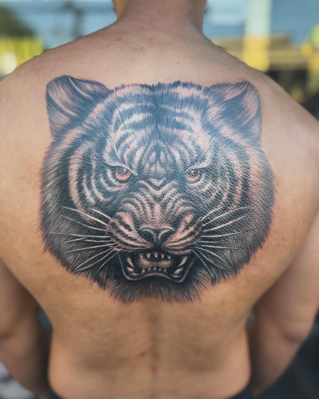 Bamboo Tattoo